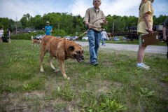 JPK20210506_WalkForAnimals_091