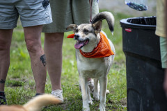 JPK20210506_WalkForAnimals_103