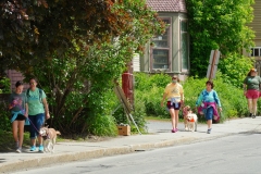 Dog-Walk-122
