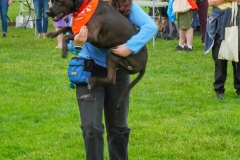 Dog-Walk-129