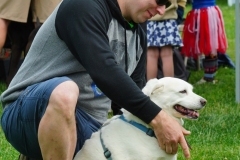 Dog-Walk-87